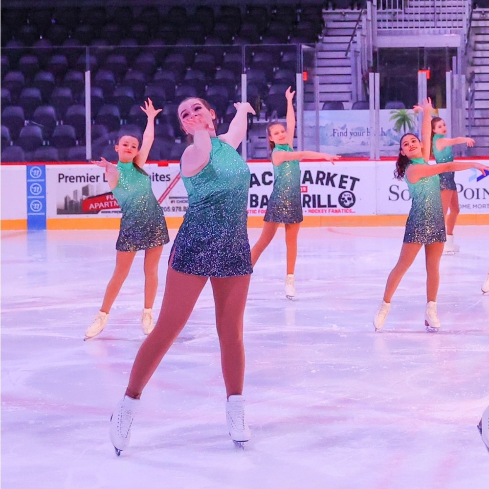 Teal & Black Adult Women’s Dance/Figure Skating Dress